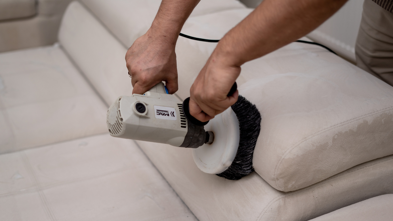 Technician cleaning a light fabric sofa with a rotary upholstery cleaning machine