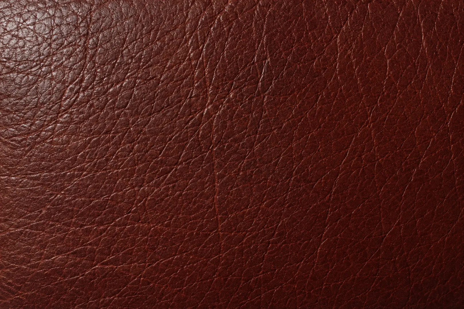 An aniline leather swatch with visible natural grain