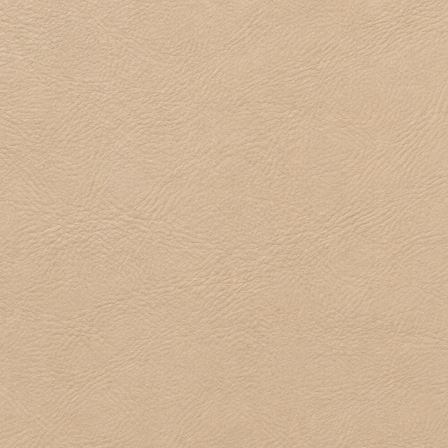 Beige leather color swatch