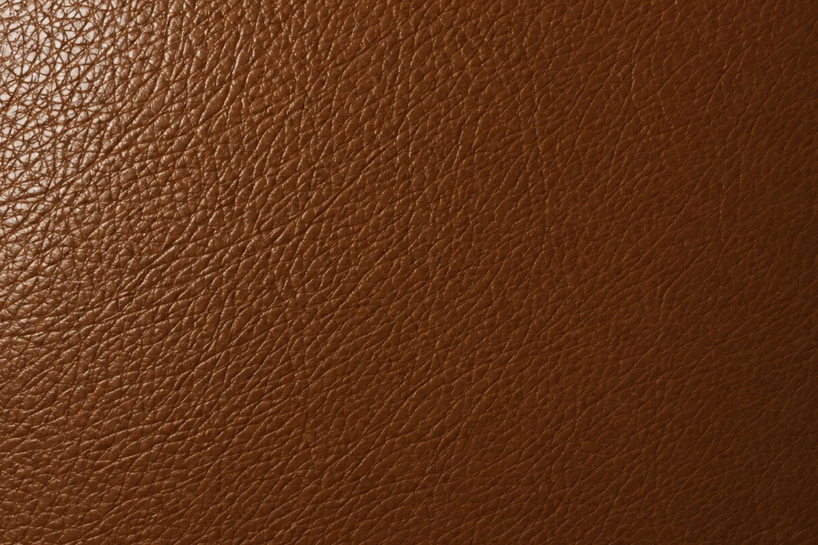Bonded leather swatch, a thin surface skin over a fibre backing
