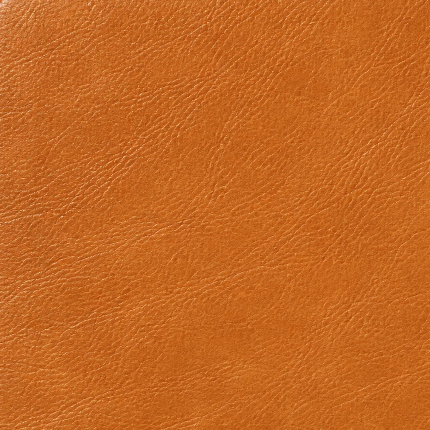 Camel leather color swatch