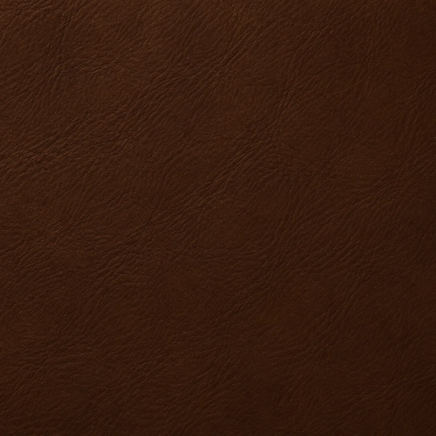 Chocolate brown leather color swatch