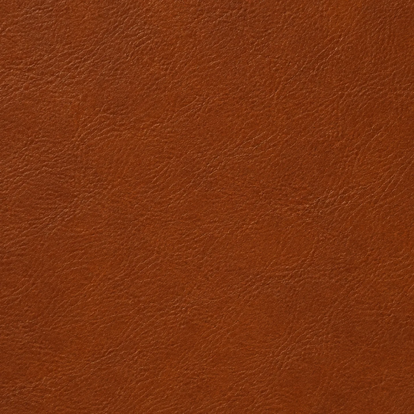 Cognac leather color swatch