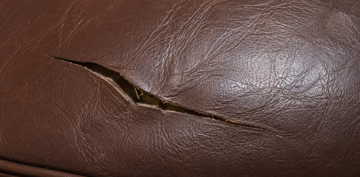 An open cut through a corrected grain leather cushion showing the backing underneath
