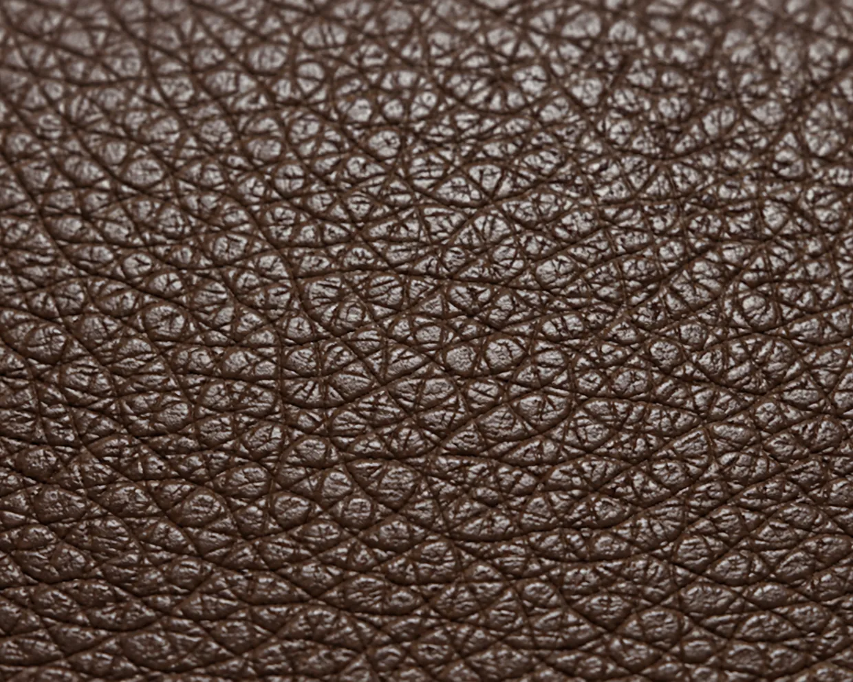 Close view of a corrected grain leather surface showing an even, regular embossed grain pattern under a pigment coating