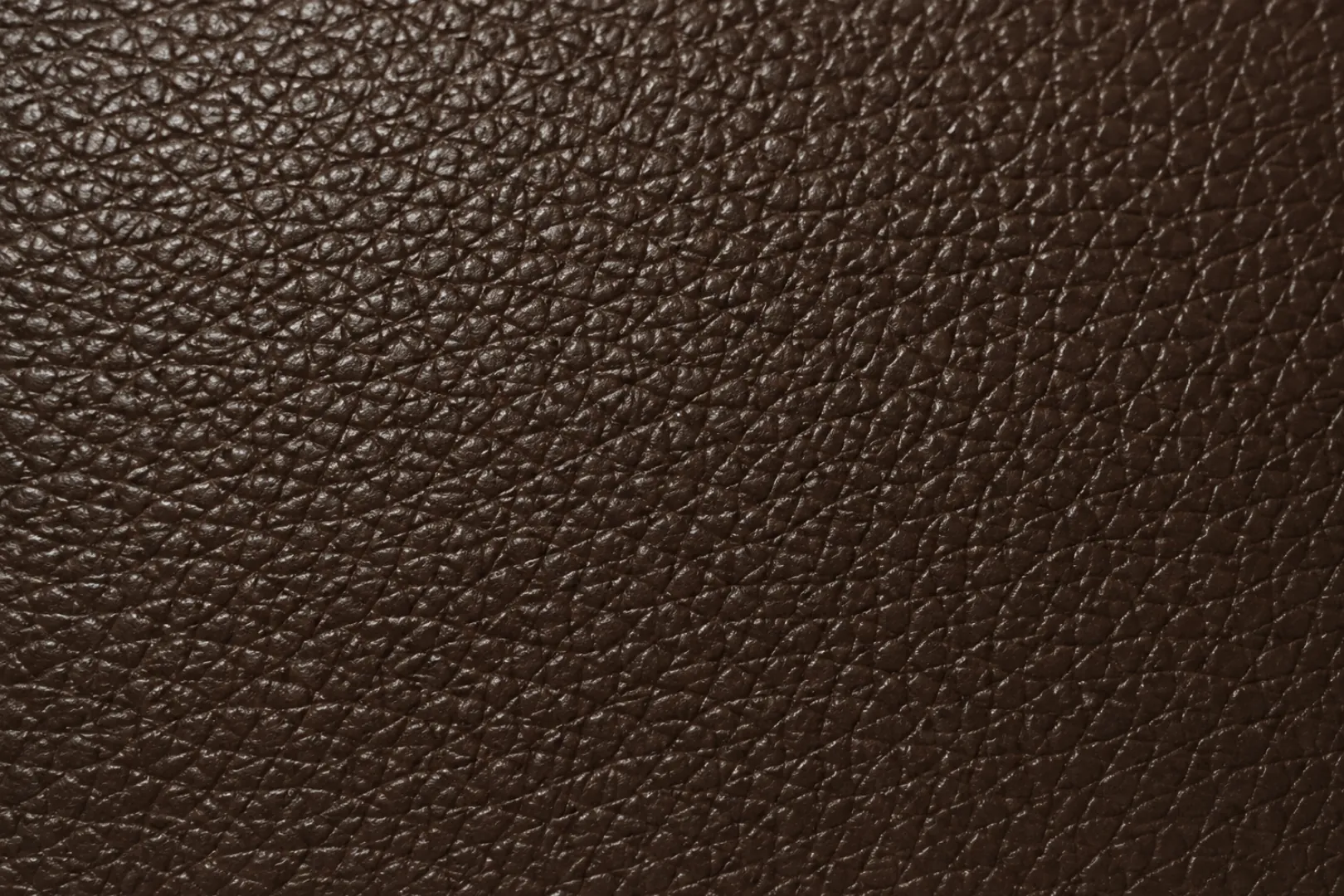 Corrected grain leather swatch with an embossed grain pattern