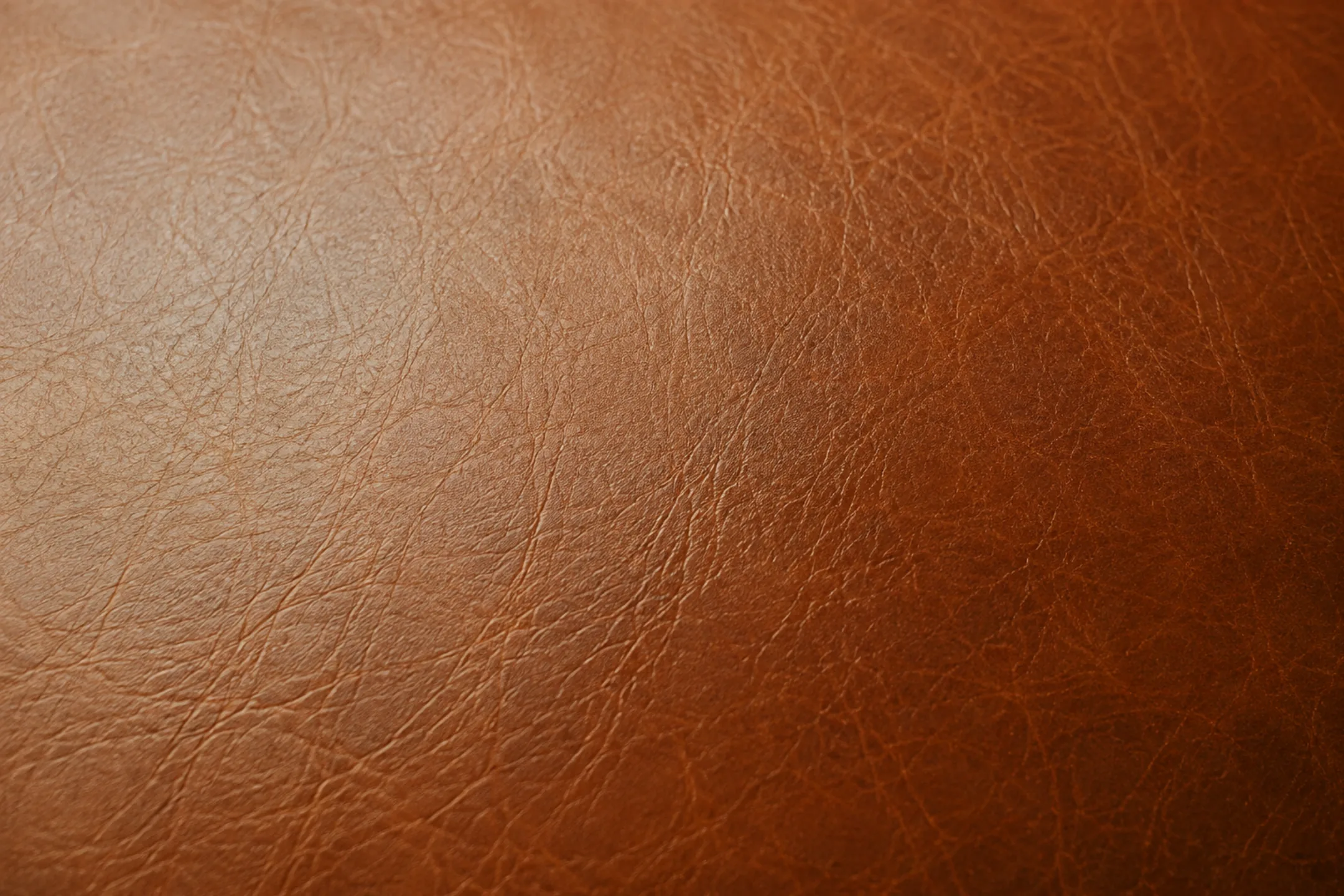 Faded aniline leather cushion where light exposure has washed the dye out of the top surface