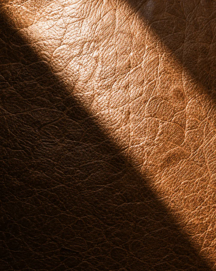 A shaft of daylight across one leather panel, the lit half and the shaded half reading as different tones and textures.