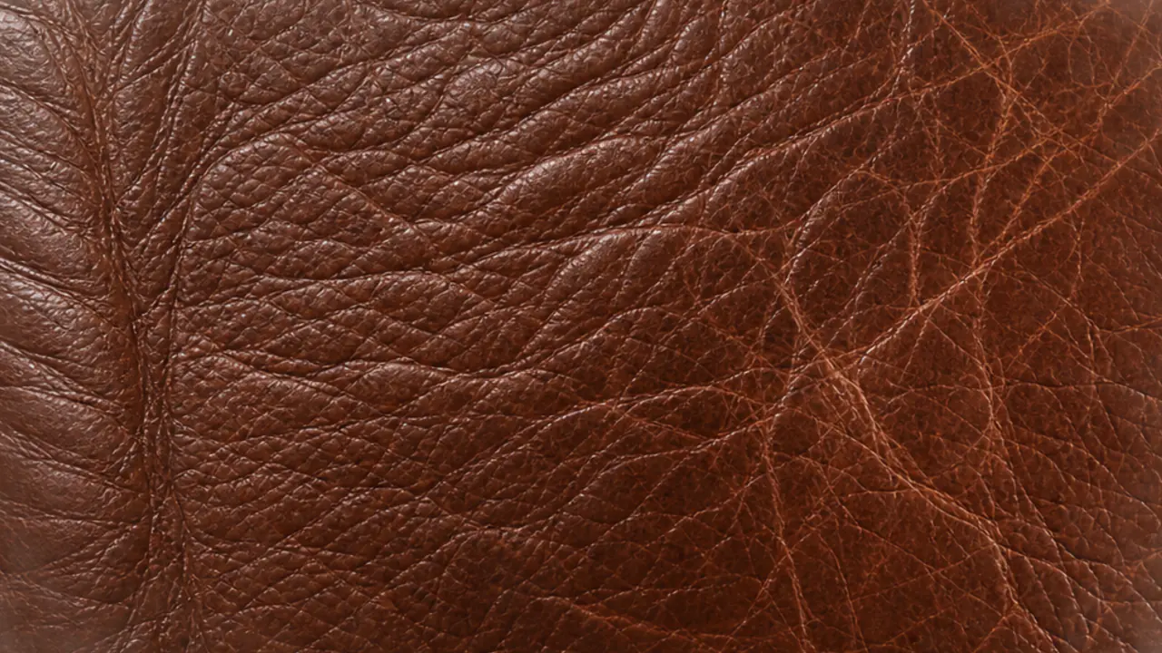 Macro of full grain leather showing tonal grain variation running across the panel.