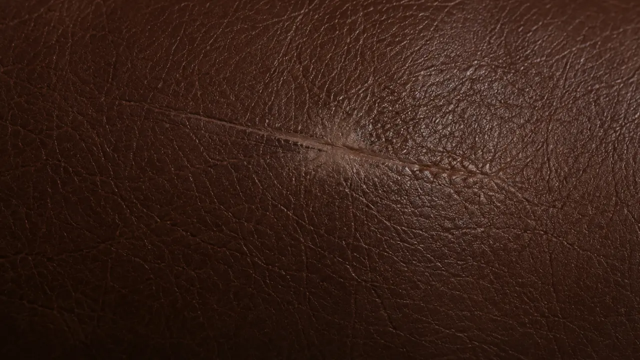 Macro of full grain leather showing a healed scar that closed while the animal lived.