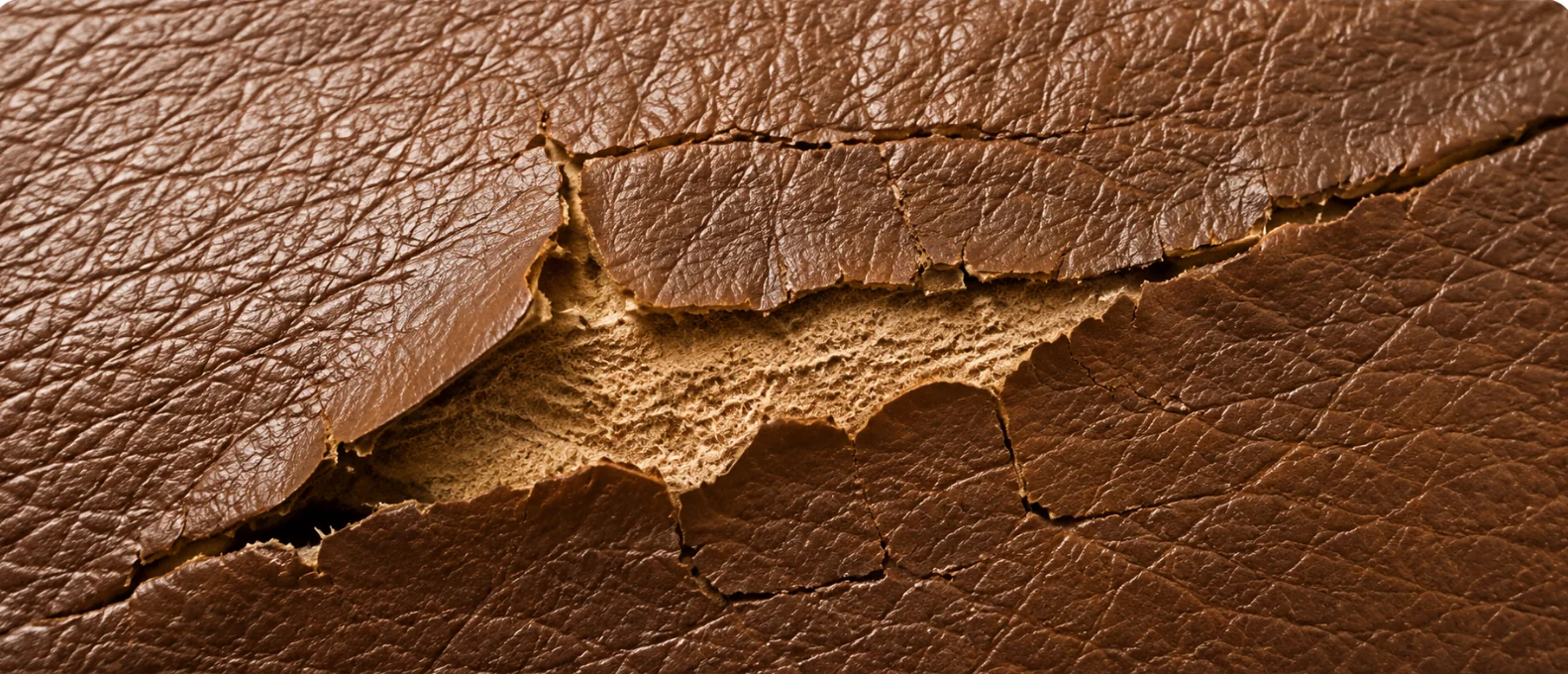 Pigmented leather split open along a single flex line, the finish lifting only at the crack edge with sound grain either side