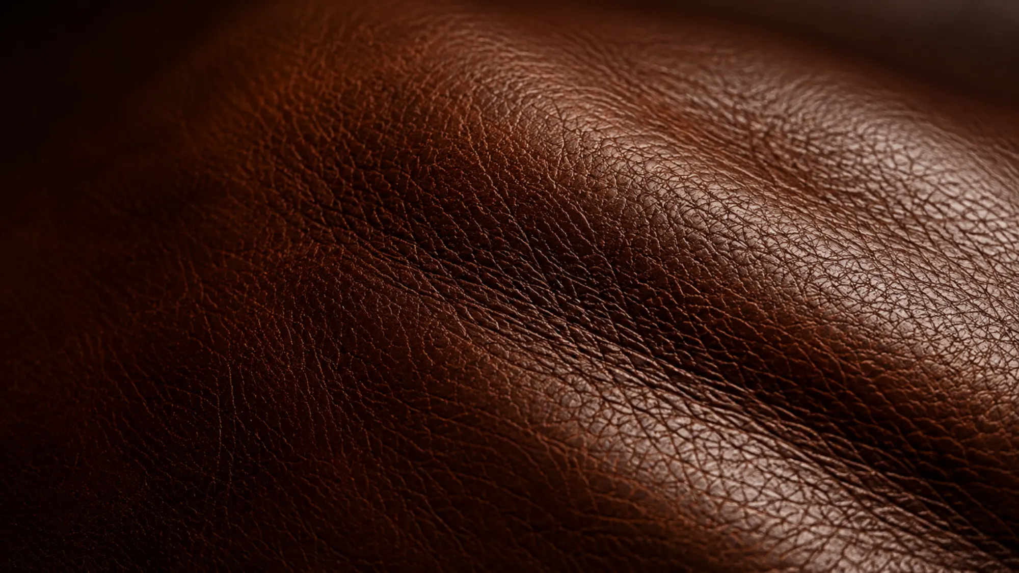 Full grain leather macro showing the untouched natural grain surface