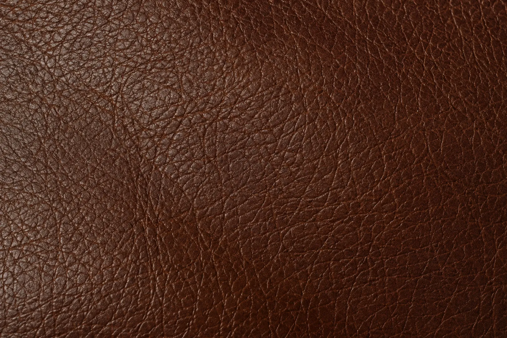 Full grain leather swatch showing natural pebbled texture
