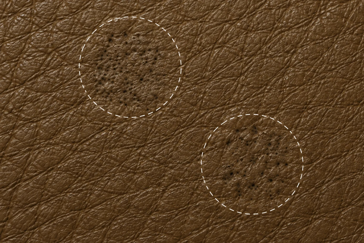 Macro of naturally grown leather grain, two circled areas each showing a different pore scatter that never repeats