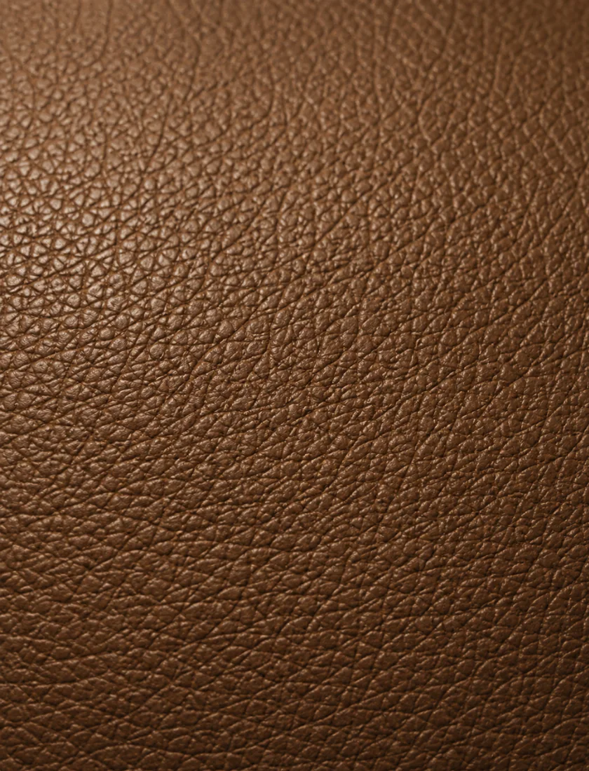 Macro of the grain side of a split hide, its natural pores visible across a smooth outer surface
