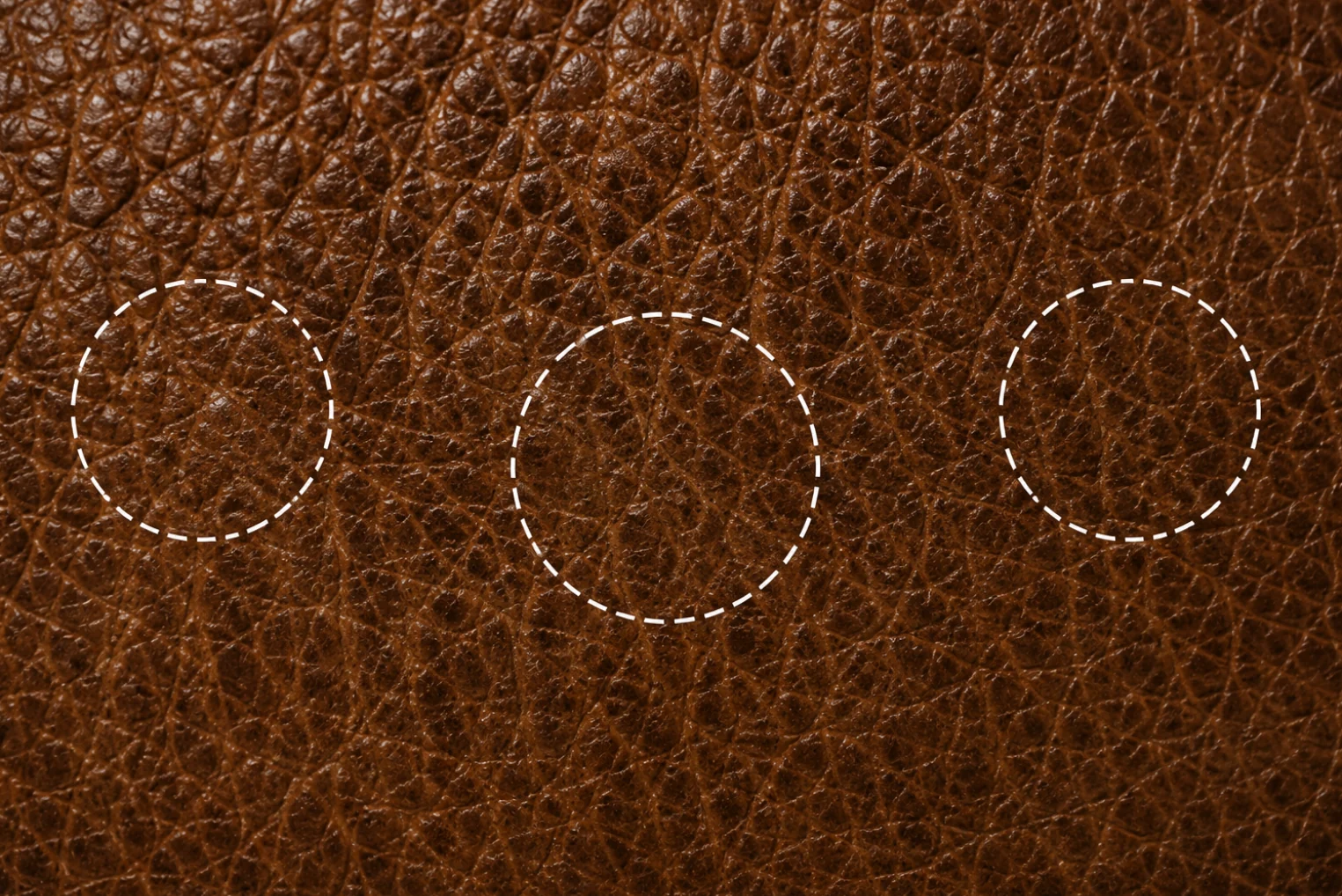 Macro of naturally grained leather with three dashed circles, each holding a different pore pattern that never repeats