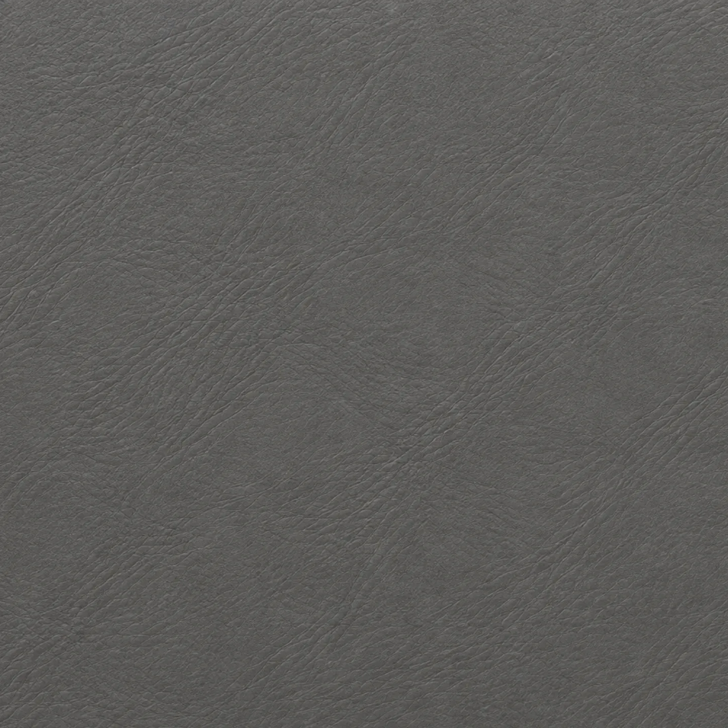 Gray leather color swatch