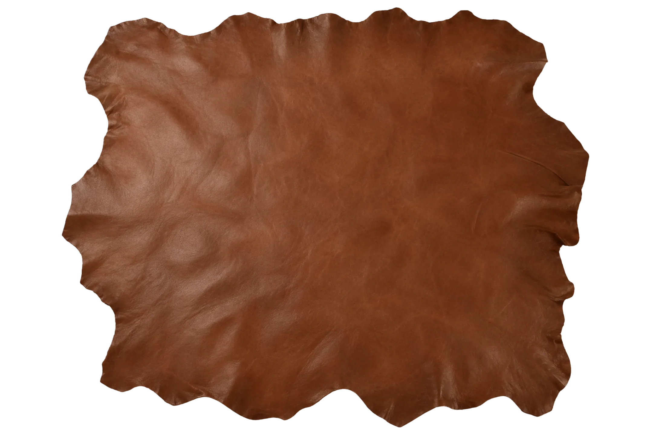 Cognac aniline hide A — slightly redder with a tighter grain across the back