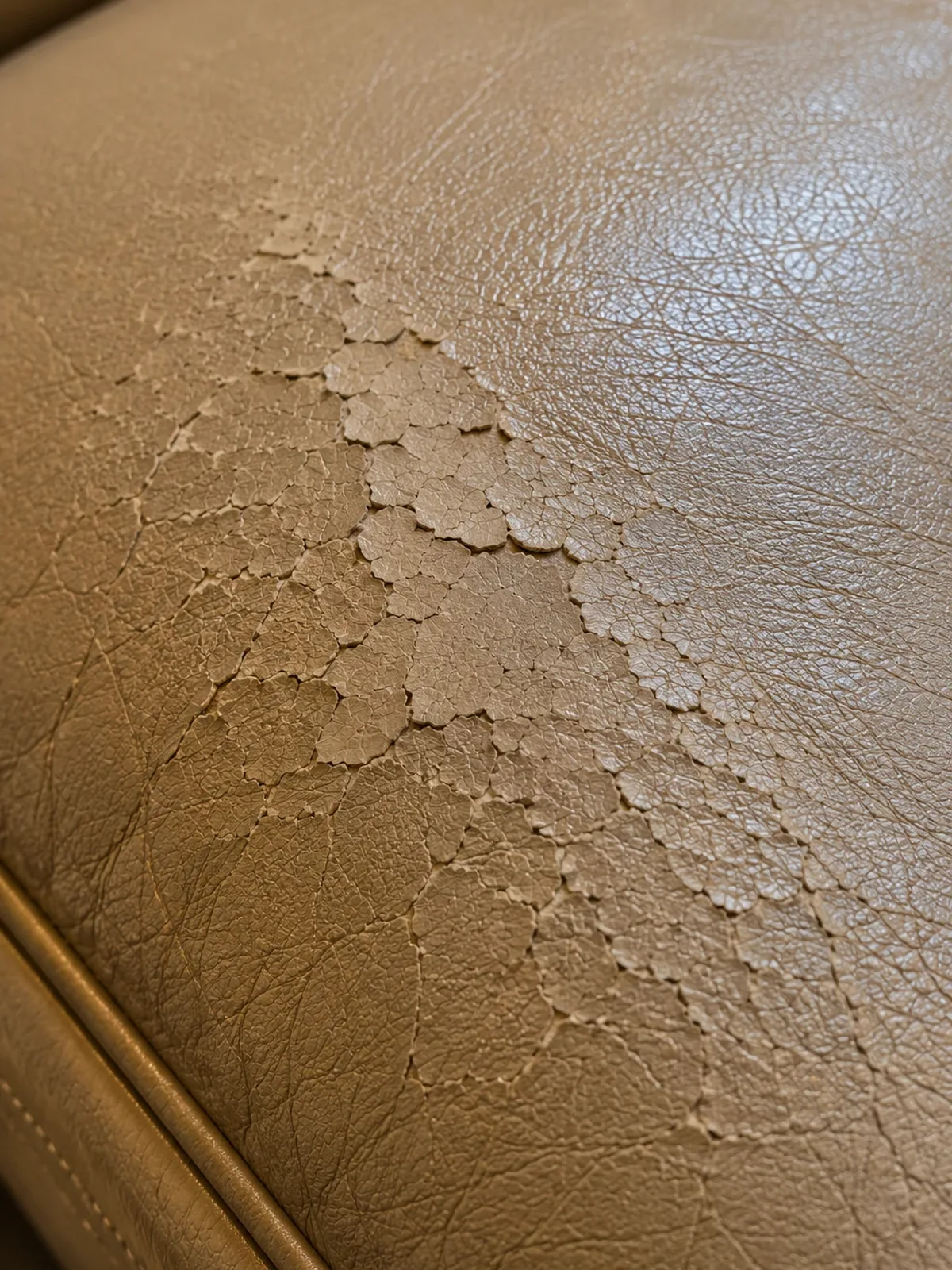 Flaking topcoat lifting off a tan hotel leather chair seat in crazed patches