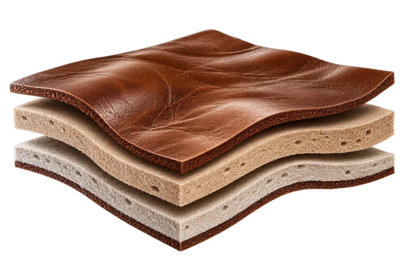 Full grain leather cross-section: the grain layer on top, the pale corium beneath it, the flesh side at the bottom.