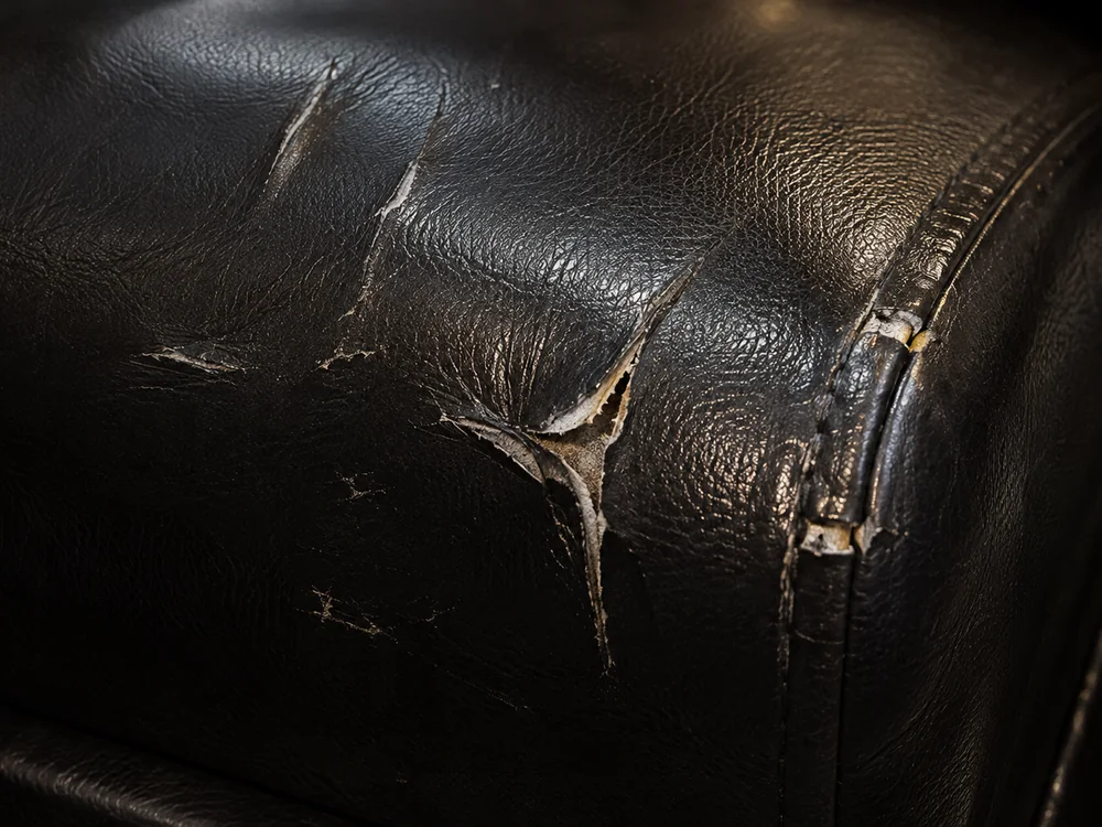 Jagged tears through the black leather corner of a club seat