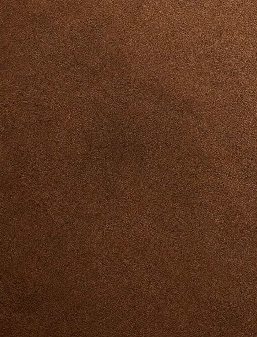 Macro of nubuck, the outer grain surface lightly sanded into a fine even nap