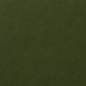 Olive restaurant leather in a matched pigment finish