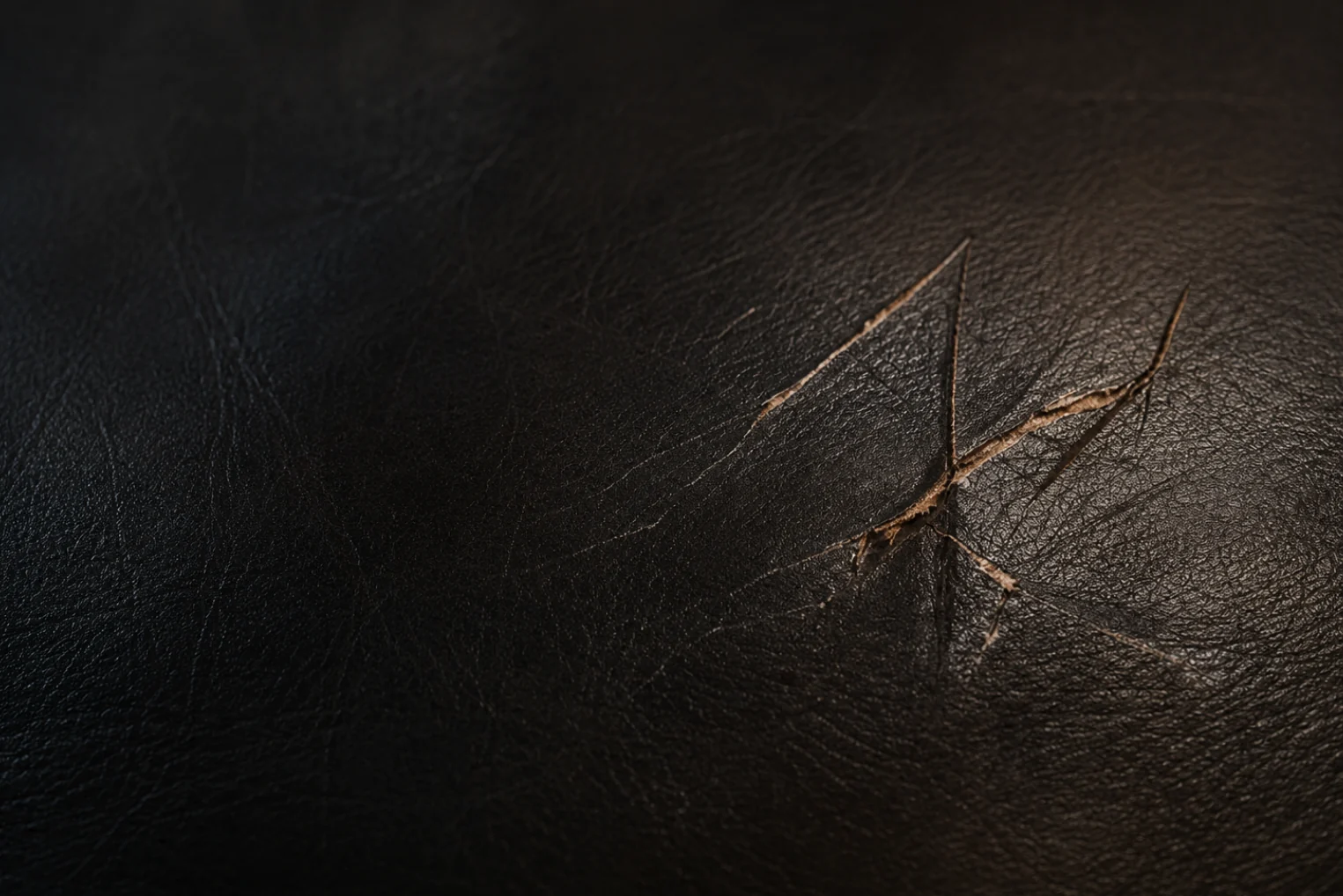 Scratch in black leather before filling