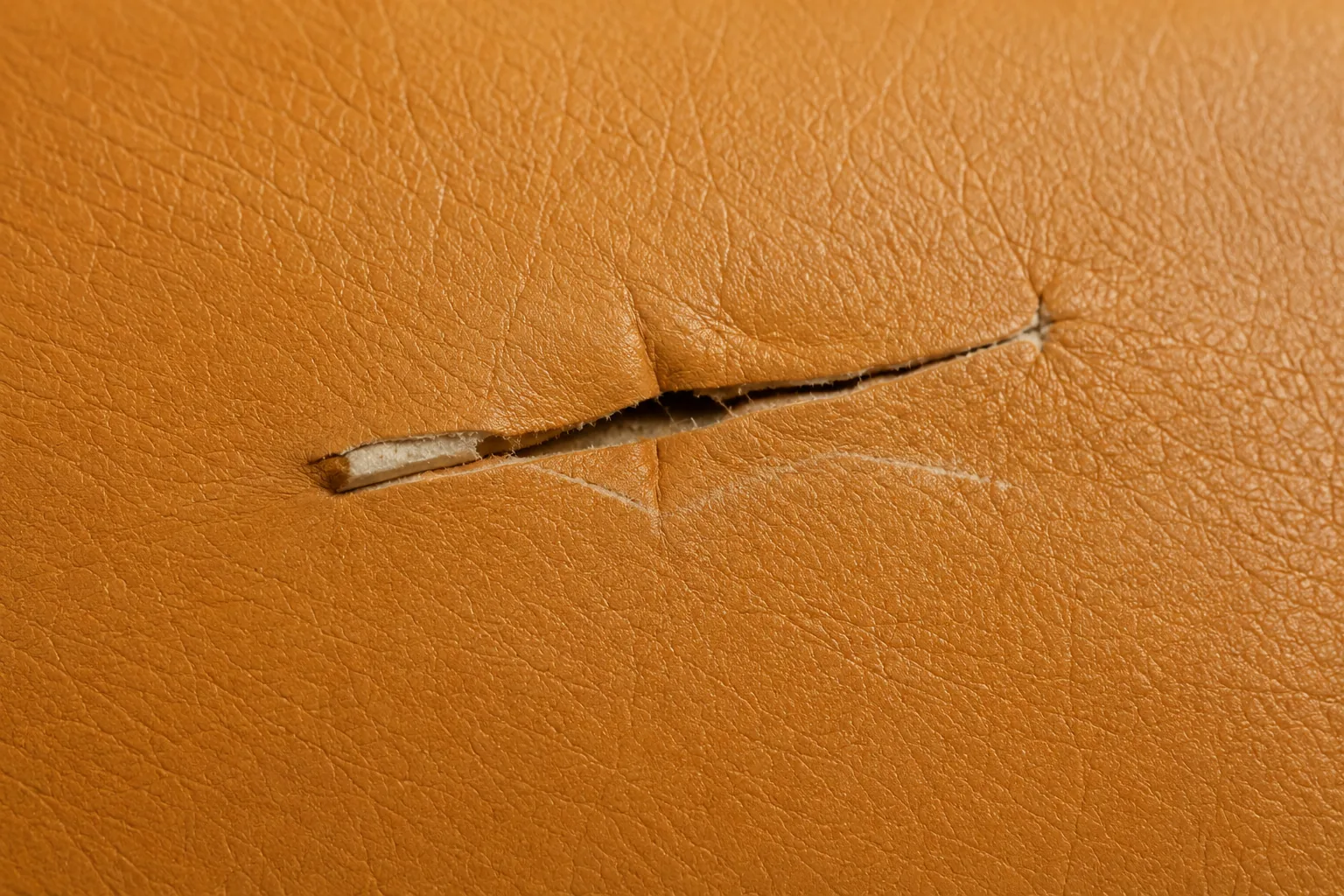 A clean cut opened across a tan leather seat panel with the foam visible beneath
