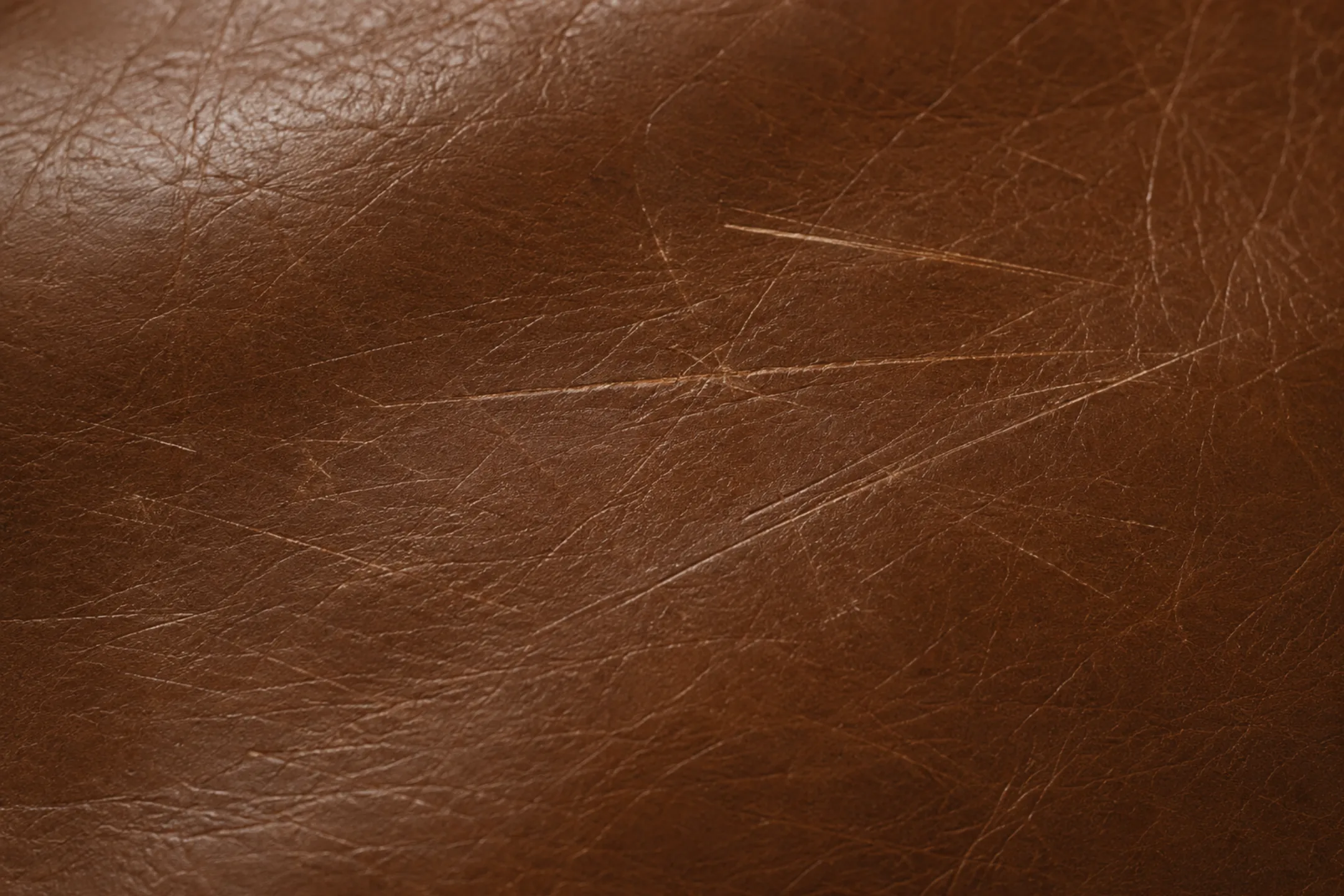 Scratches across aniline leather where the surface has been scored by pet claws and buckles