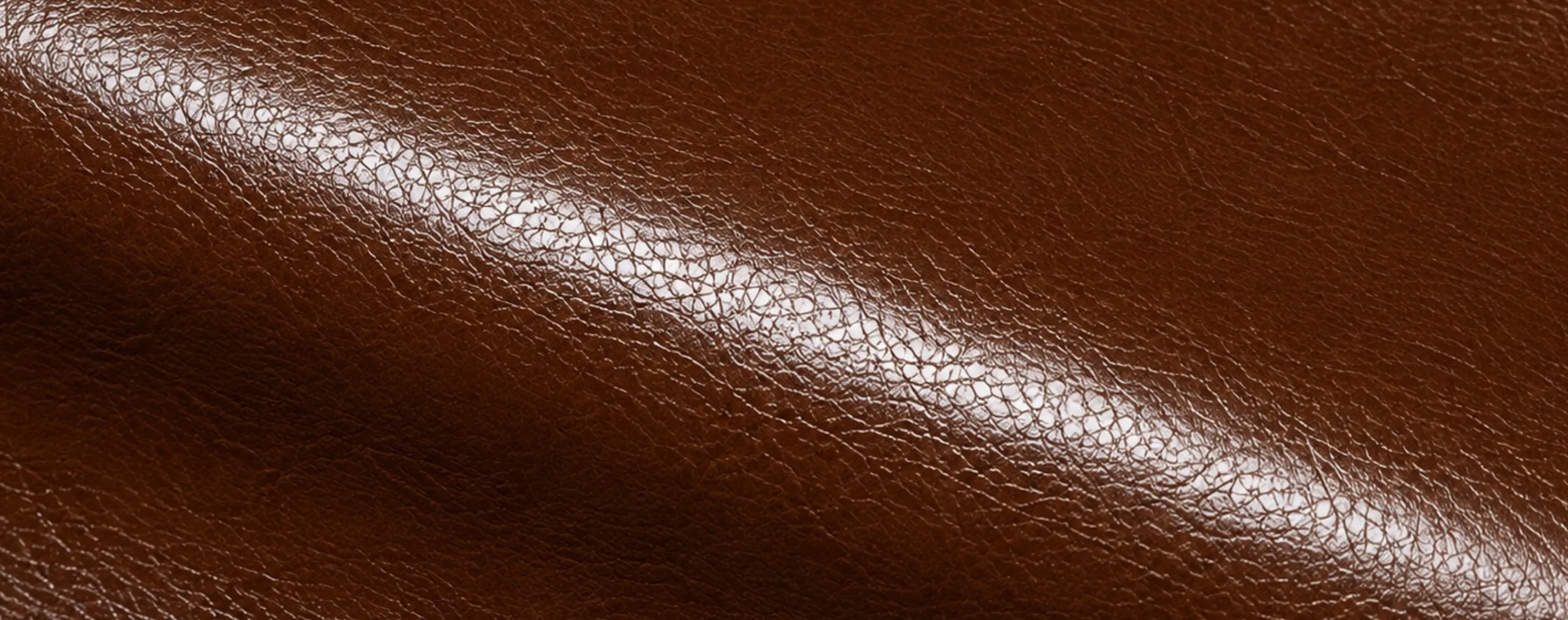 Glossy semi-aniline leather: a bright hard specular highlight runs the length of the fold
