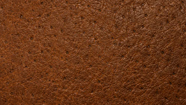 Natural pores and growth markings spread across a grain surface