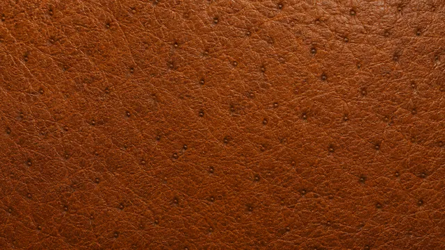 Pores and growth lines standing out clearly across a grain hide