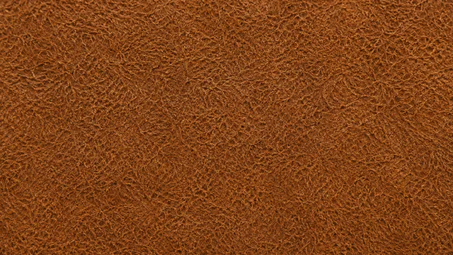 A blank split surface carrying no pores and no natural markings
