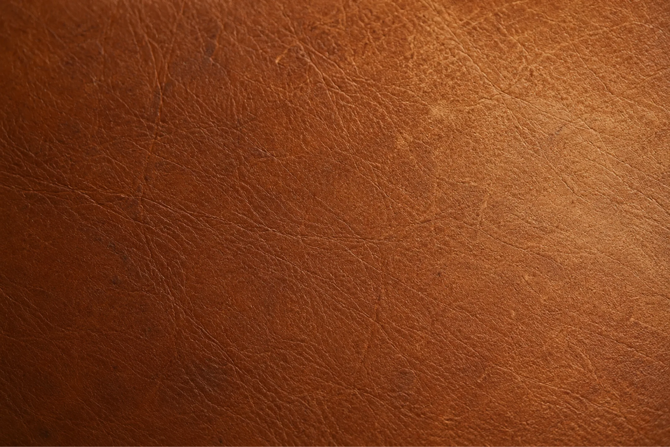 Sun-facing aniline leather panel that has bleached lighter and hardened next to shaded leather