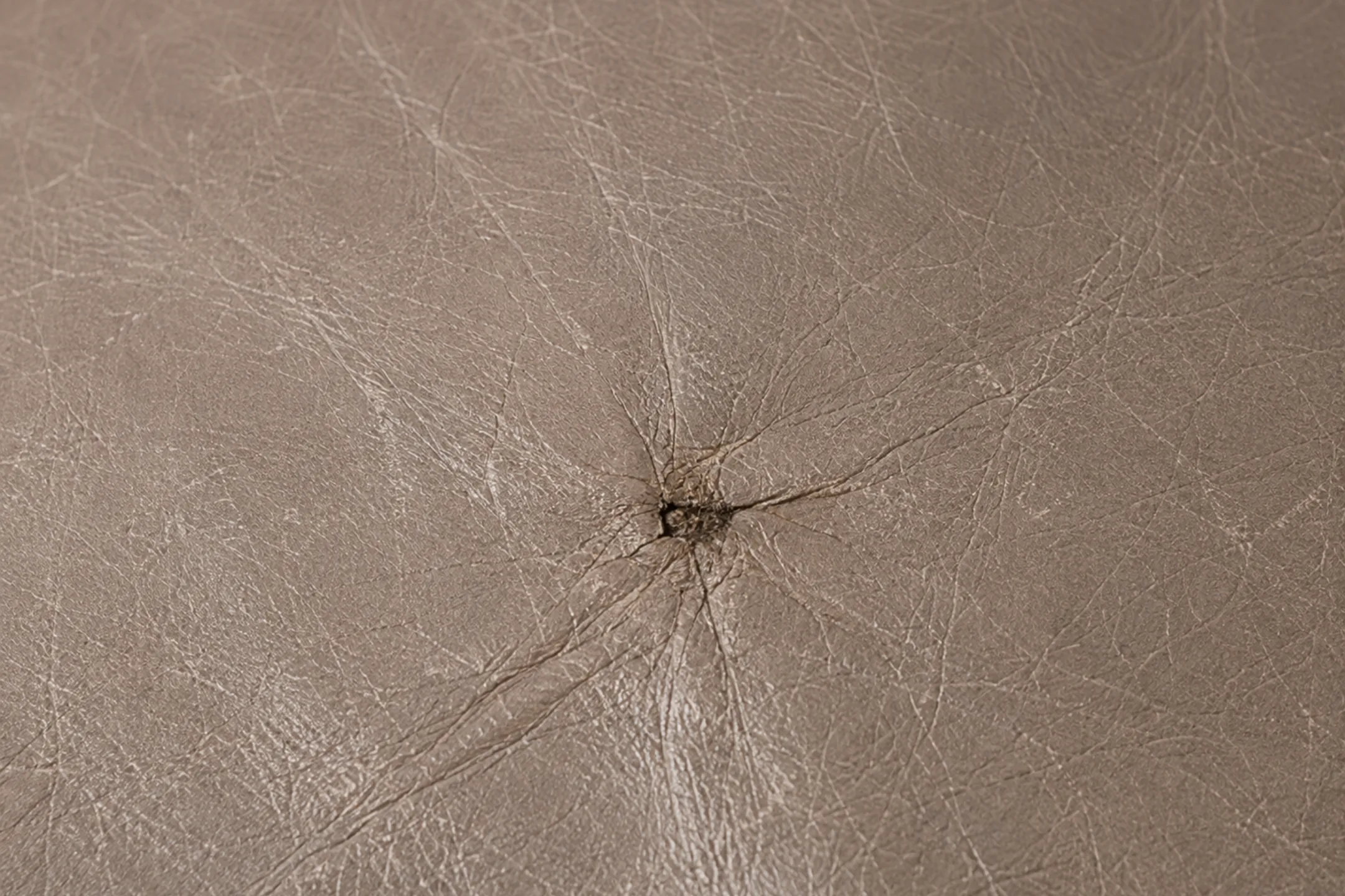 Semi-aniline leather cushion with the finish worn dull at a raised stress point, the grain flattened around it