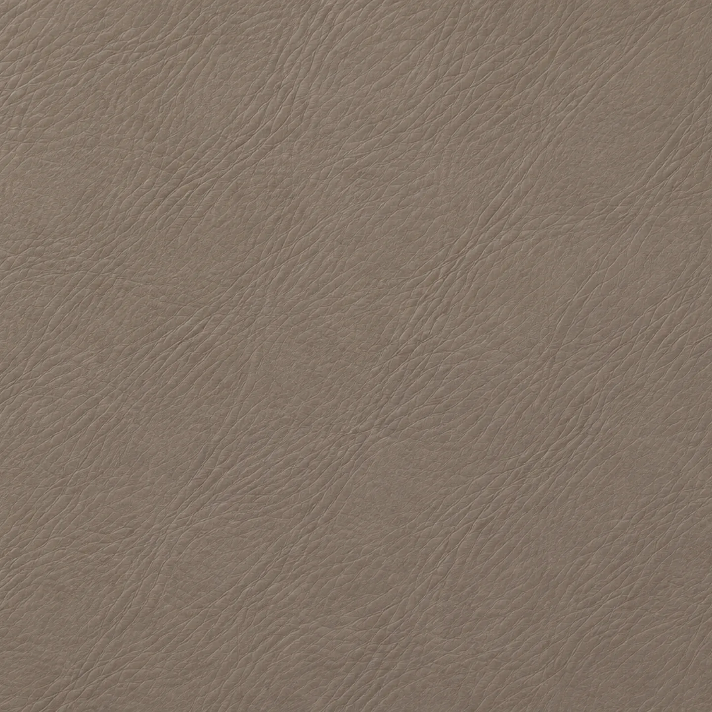 Taupe leather color swatch