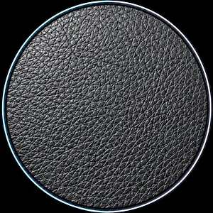 Close crop of a black grained upholstery surface, the pebbled pattern regular enough that the same cluster of pores recurs across the panel