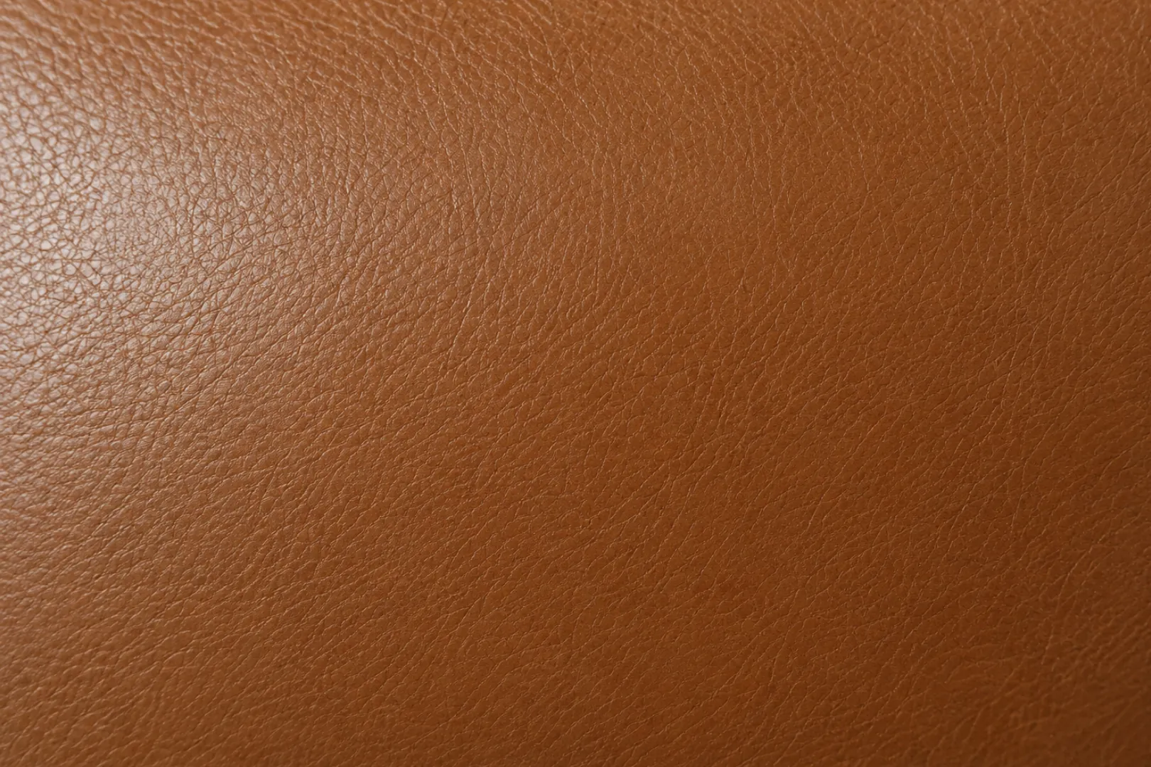 Top grain leather swatch with a fine even surface