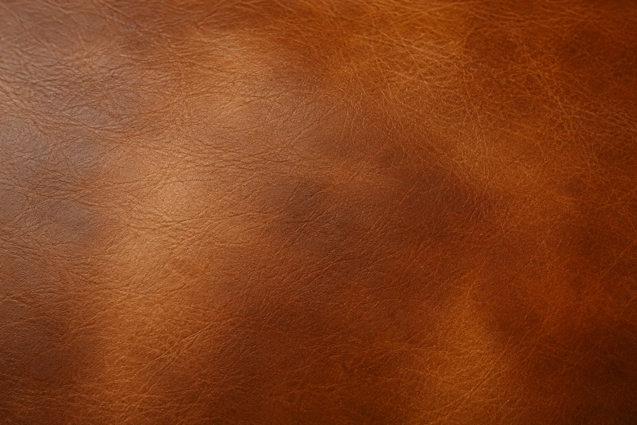 Uneven color across an aniline leather panel where dye has worn back at different rates