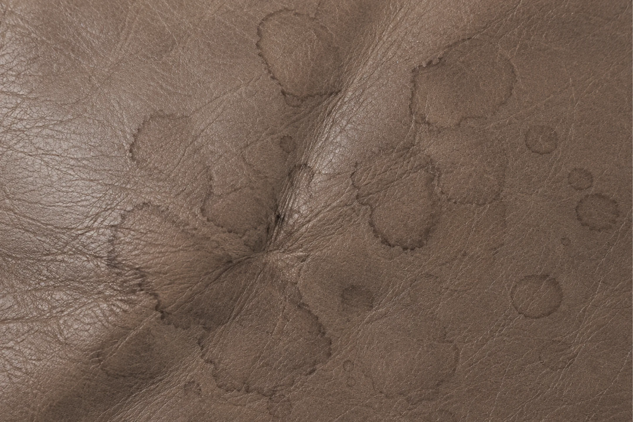 Pale overlapping rings left on taupe semi-aniline leather where water dried on the surface and lifted the finish