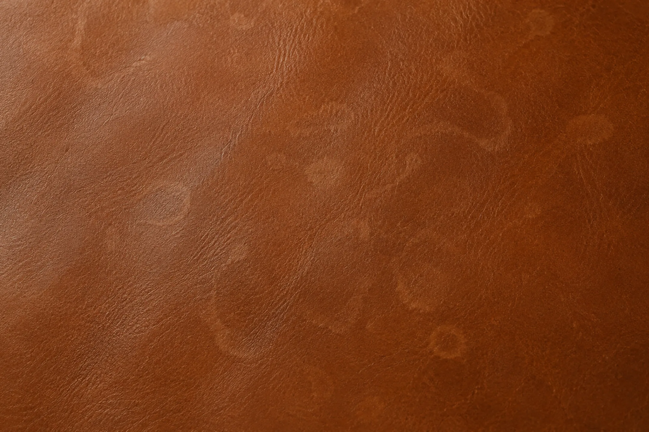 Water mark on aniline leather showing the darker dried ring left where a spill evaporated