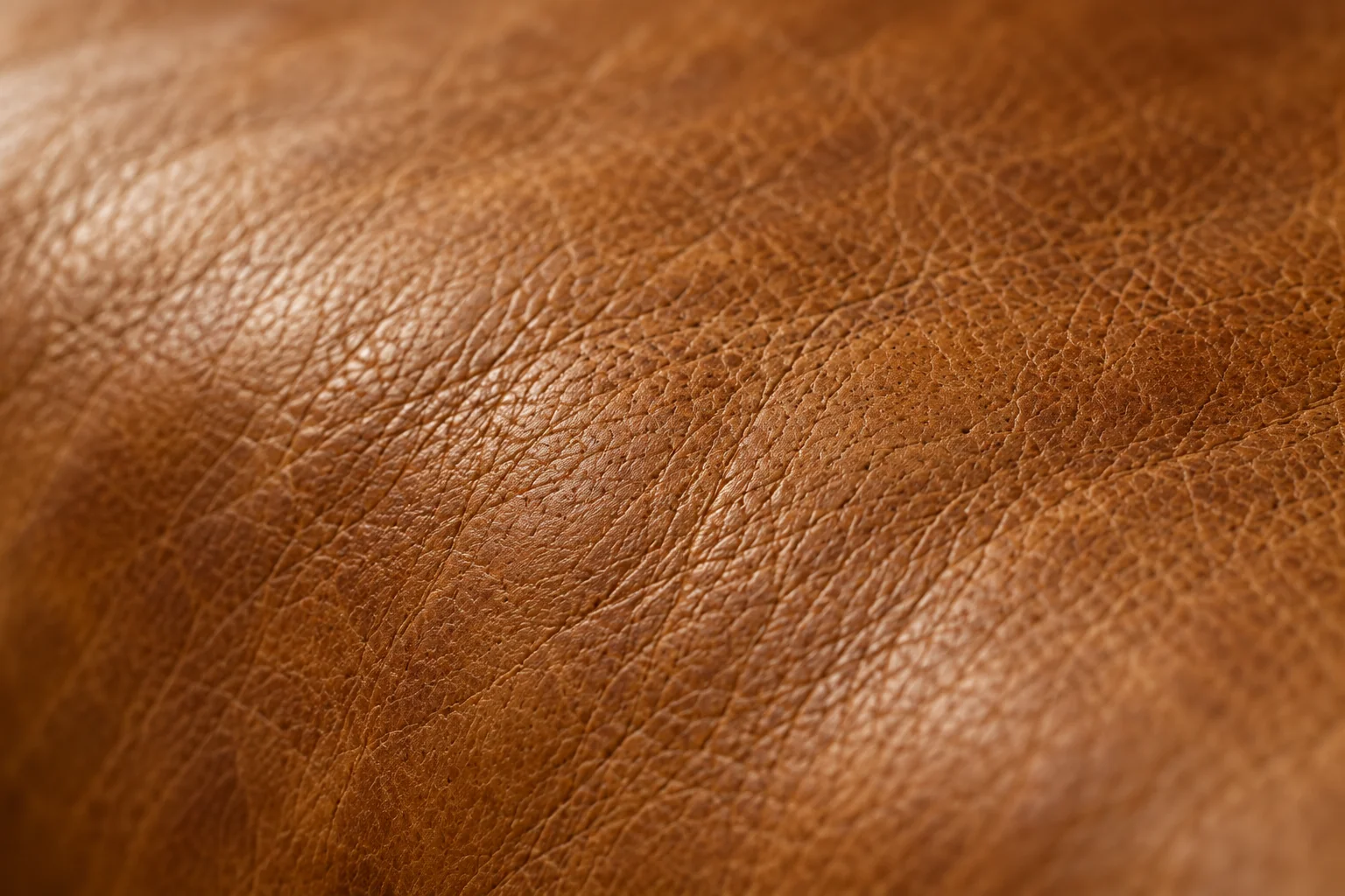 Aniline leather surface in macro, open grain and no top coat
