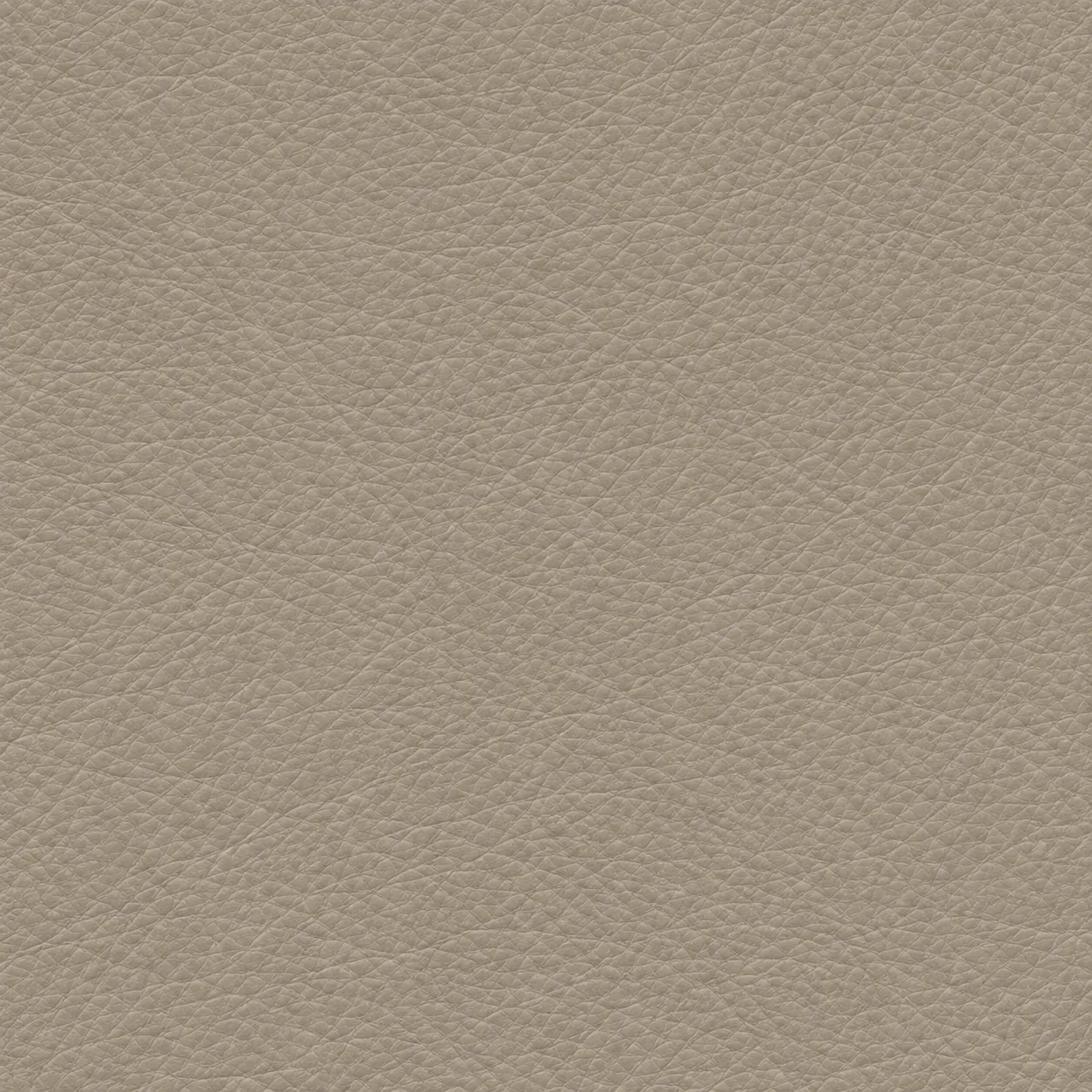 Greige leather grain swatch