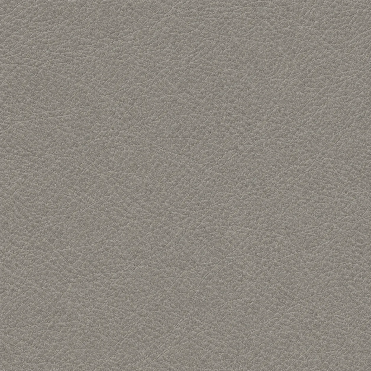 Grey leather grain swatch