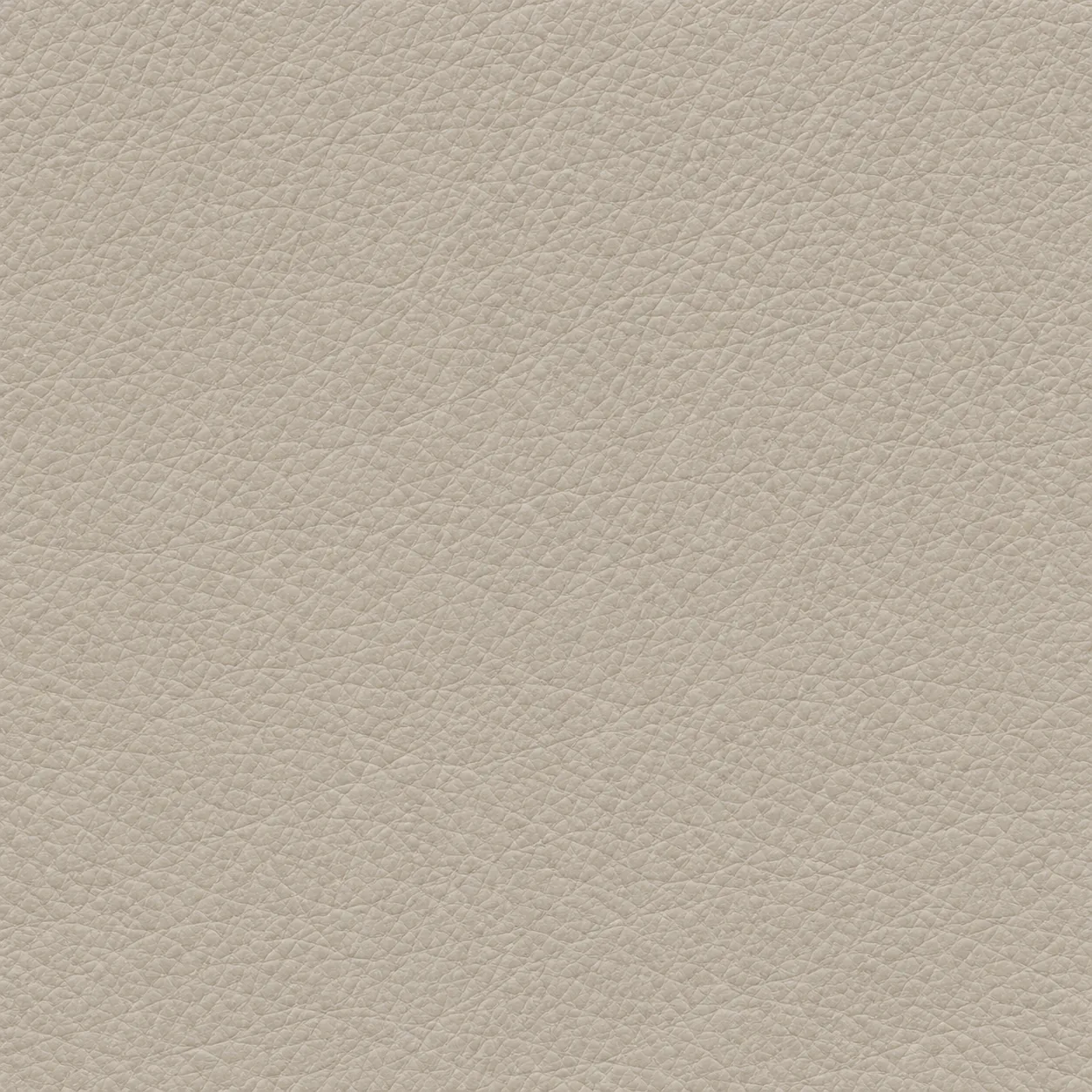 Light beige leather grain swatch