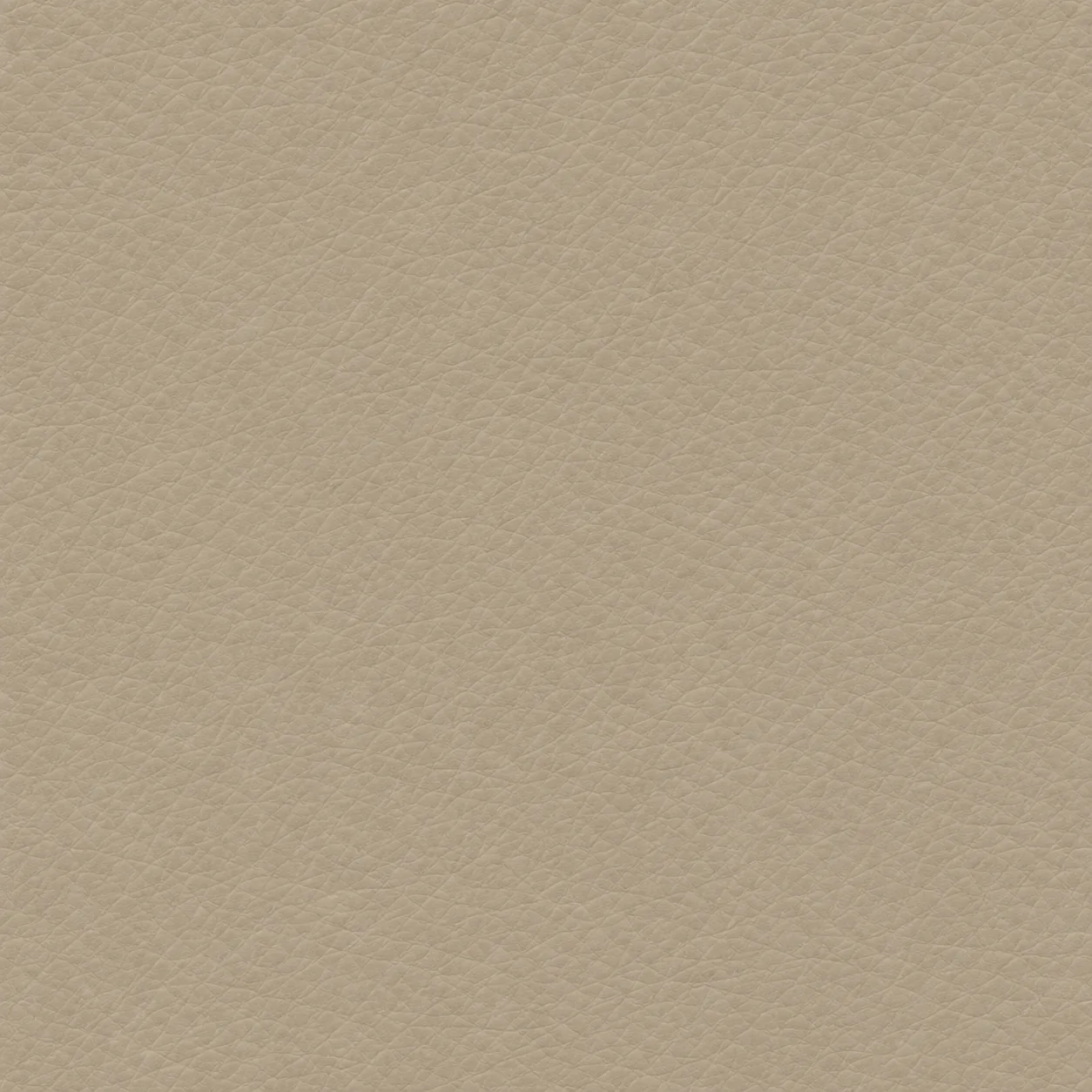 Sand leather grain swatch
