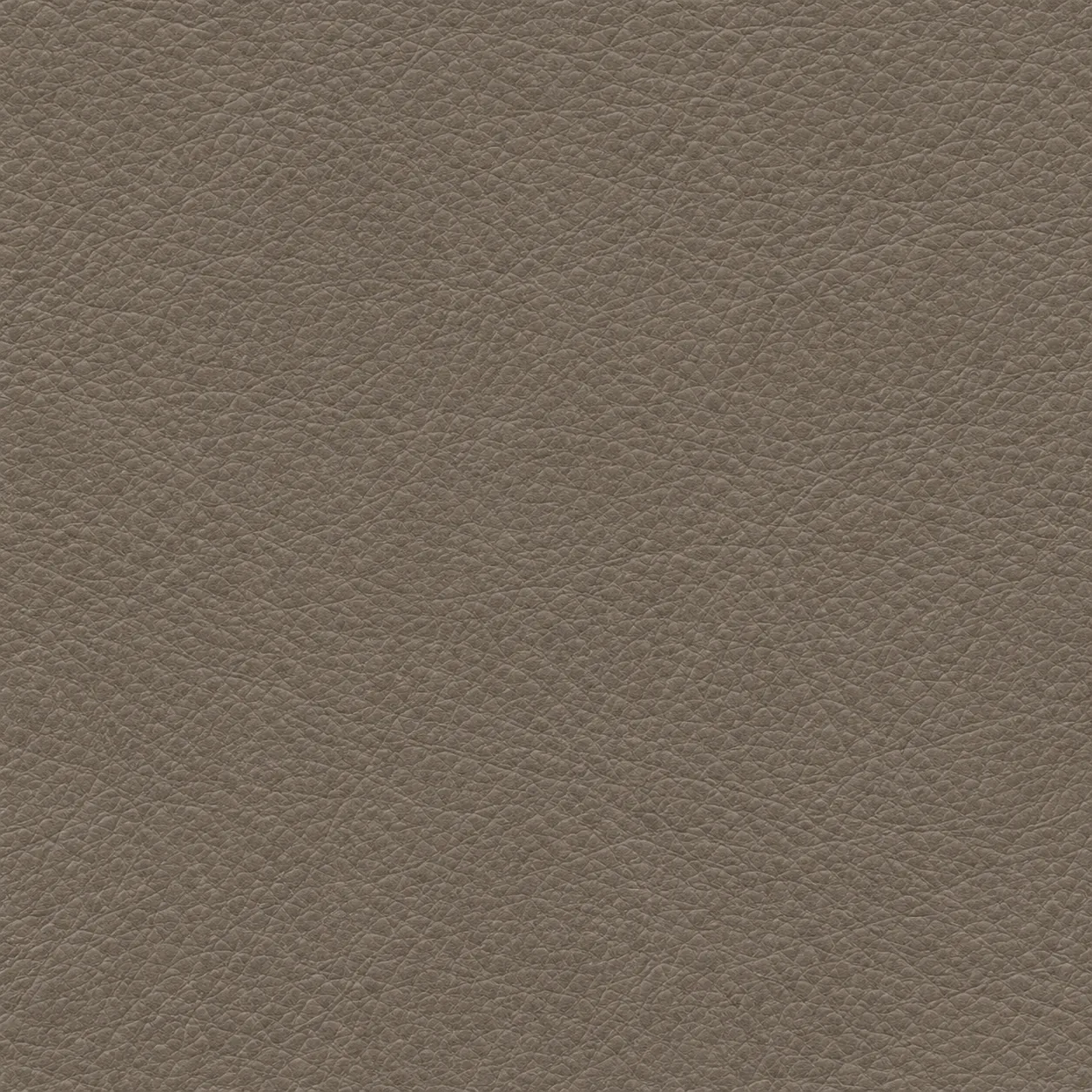 Taupe leather grain swatch