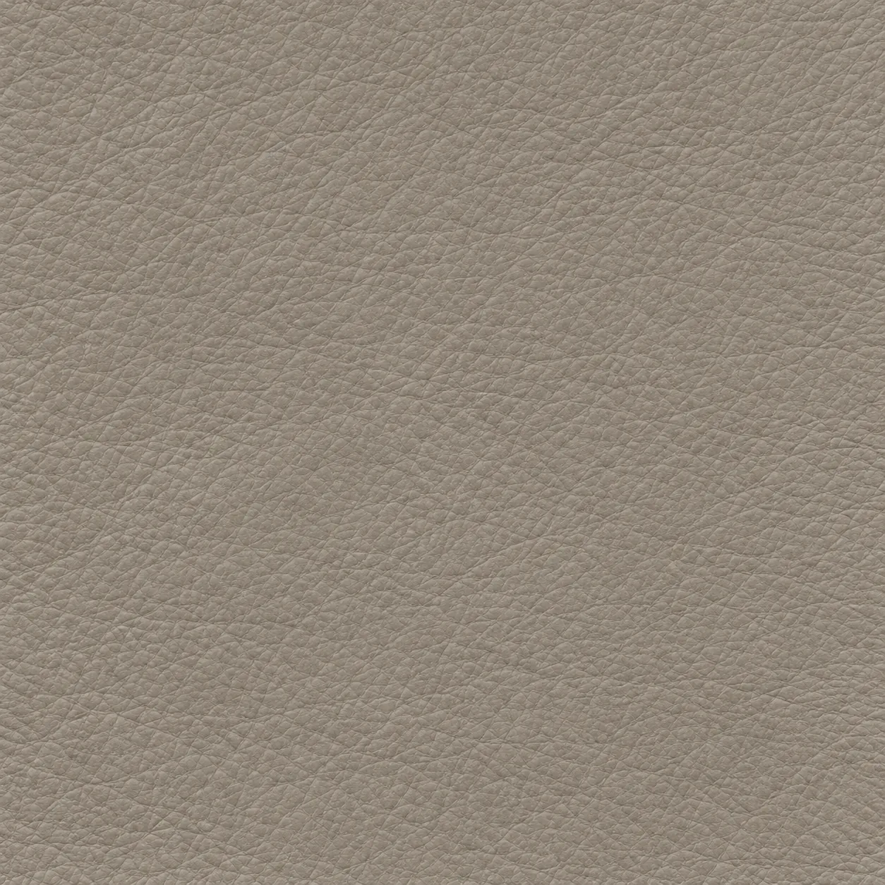 Warm grey leather grain swatch