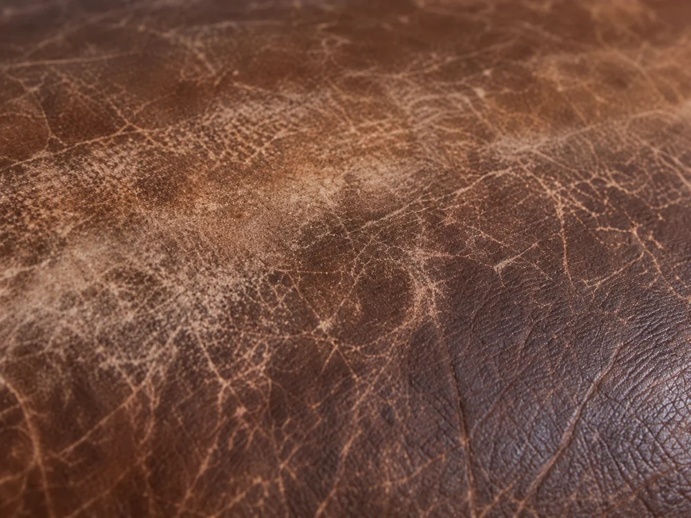 Brown leather sofa panel faded pale where daylight falls on it